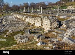 Image result for Vepris macedoi