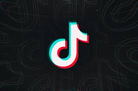How To Fast Forward Through A Tiktok Video The Verge