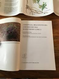 Image result for Riocreuxia