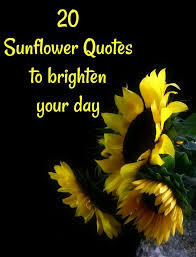 Maybe you would like to learn more about one of these? Sunflower Quotes 20 Best Sunflower Sayings With Images