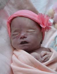 Obituary information for Olivia Faye Bohnert