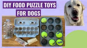 Check spelling or type a new query. Diy Brain Games For Dogs Homemade Food Puzzle Toys Youtube