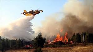 « cet incendie a fait l'objet d'une intervention rapide des équipes de sécurité du site qui ont sécurisé la zone indiquée. U9mgxoeicssf7m