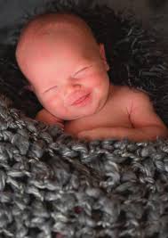 Wayne Layout Template