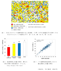 水田におけるイネ縞葉枯病のまん延過程と発病イネにおける減収のしくみ 農研機構