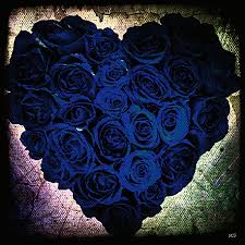 Gothic Black And Blue Roses Blue Roses Blue Roses Absinthe Art Black Rose Gothic Rose