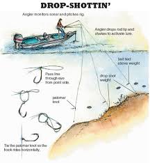 Simple, very effective, and works like a champ. Drop Shot Live Bait Off 67 Medpharmres Com