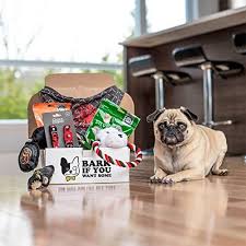 Maybe you would like to learn more about one of these? 9 Best Dog Subscription Boxes 2020