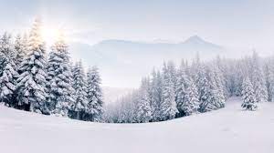 Kostenlose Hintergrundbilder Schneelandschaft Frei, Schnee, Natur, Winter,  Atmosphäre, Bilder Für Ihren Desktop Und Fotos