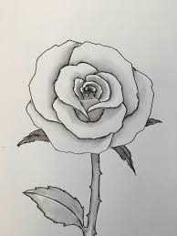 Pin Von Shirley Williams Auf Artsy Stuff Blumen Zeichnen Blumenzeichnungen Rosen Zeichnen