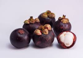 Learn more about how to grow mangosteen tree and its planting requirements in the below article. Tropical Trees The Mangosteen Gardening On