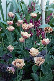 Pin On Garden