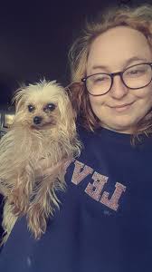 This is my 2.1lb teacup yorkie, her name is Junie. Dont let her size fool  you, she can handle herself very well !