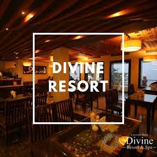 Celebrate The New Year In Style At Dvine Resort And Spa Rishikesh We Are Offering Exclusive New Year Packages For New Year Packages Hotels And Resorts Resort