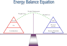 Calculate Your Energy Balance Equation Alliance Work Partners