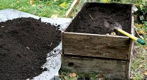 Campurkan tanah dan pupuk ke dalam wadah berupa pot atau polybag. 5 Langkah Cara Menanam Belimbing Wuluh Dengan Di Dalam Pot