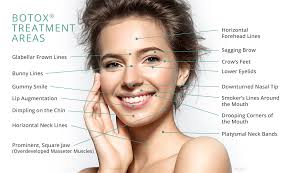 Botox Facial Diagram Wiring Diagrams