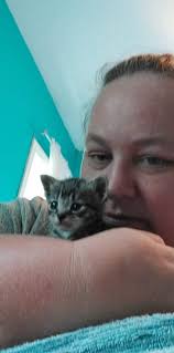 Thank you for all the warm words about Coco. ♥️ If you've ever had a senior  cat for the duration of their life, maybe you will know how I'm feeling  when I