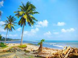 80%(5)80% found this document useful (5 votes). Pantai Sekunyit Obyek Wisata Yang Sedang Populer Di Bengkulu Destinasi Travel Indonesia