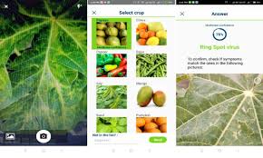 To be more accurate, it has over sixty thousand plants with not only the names but also sharing many details and care. Free Android App To Identify Plant Diseases By Taking Photo Of Plant