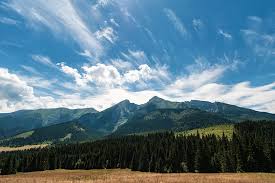 The p sign means poland and u can see s which means slovakia at the back of the p. Hd Wallpaper High Tatra Border Poland Slovakia Land Borders Mountains Wallpaper Flare