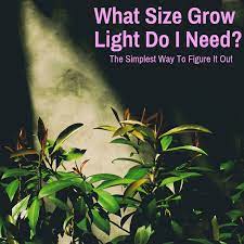 Light is one of the most important factors for growing houseplants. What Size Grow Light Do I Need The Simplest Way To Figure It Out Grow Light Info