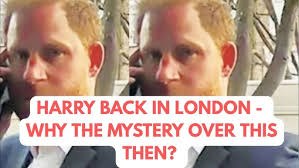 HARRY THE MYSTERY OF WELLCHILD