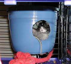 And cut around 10ish inches. Ratty Hammocks Rat Cage Accessories Rat Cage Rat Cage Diy