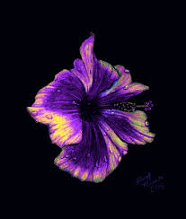 We would like to show you a description here but the site won't allow us. Suzy S Fine Art Black Paper Drawing Color Pencil Art Black Paper