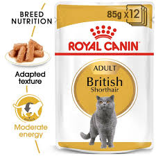 The company uses corn in its formulas, which is controversial for. Royal Canin Breed British Shorthair Free P P 39 At Zooplus