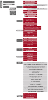 Organization Chart Kisco