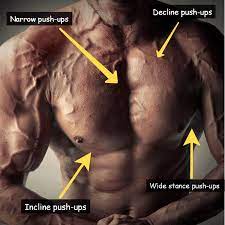 Check spelling or type a new query. How Can I Build My Chest Muscles At Home Without Equipment