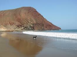 Come on in and find out for yourself why this fascinating island has something for everyone. Tenerife Simple English Wikipedia The Free Encyclopedia