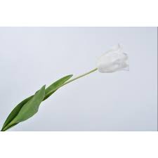 Tournez les bords bruts du bourgeon de tulipe et coudre un point courant, qui est un point long, à travers le fond de deux pièces de tissu. Tige De Tulipe Blanche 68 Cm