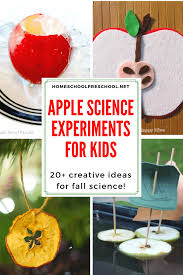 I get very excited about circle time when i have thought of a great lesson to we read short books and have an even shorter matching activity. 20 Engaging Apple Science Activities For Preschoolers