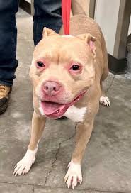 Selma~ Josephine Co...Shared Post  https://www.facebook.com/share/162NajjvdB/