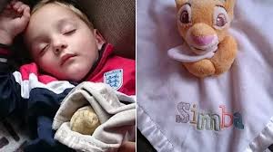 Campaign to find autistic boy's lost Simba blanket goes viral after  internet plea