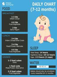 My Baby Is 11 Mnths Old What Shud B The Daily Food Chart
