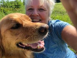 Has anyone else's Golden Retriever had a seizure disorder?