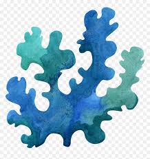 Transparent Seaweed Png Under The Sea Watercolor Png Png Download Vhv Download transparent seaweed png for free on pngkey.com. sea watercolor png png download