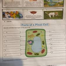 Maybe you would like to learn more about one of these? Parts Of Plant Cell Pa Help Po Brainly Ph