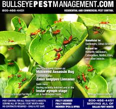 Самые новые твиты от bug head pest & animal control (@bugheadpest): September 2013 Bullseye Pest Management