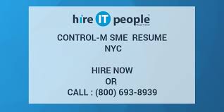 control m sme resume nyc hire it