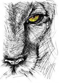 Hand Drawn Sketch Of A Lion Looking Intently At The Camera Lion Sketch Lion Art Pencil Art Drawings