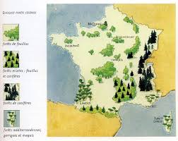 France Geographie Geographie Foret Mediterraneenne France