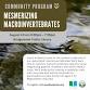 Mesmerizing Macroinvertebrates