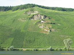Joh jos prüm wehlener sonnenuhr riesling kabinett 2014 (1 x 0.75 l) herkunftsland: Wine Review 2007 Joh Jos Prum Wehlener Sonnenuhr Riesling Kabinett Pop Pour Wine Spirits Reviews Yyc