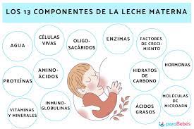 Composicion De La Leche Materna Los 13 Componentes