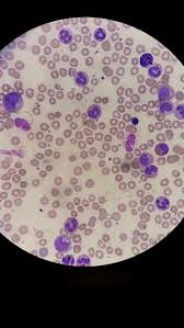 Pin Em Laboratory Careers