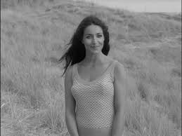 Michèle cortes de leone y fabianera, better known as her stage name françoise fabian (french: Francoise Fabian My Night At Mauds Vague Visages